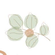 hazelbabyclothing logo
